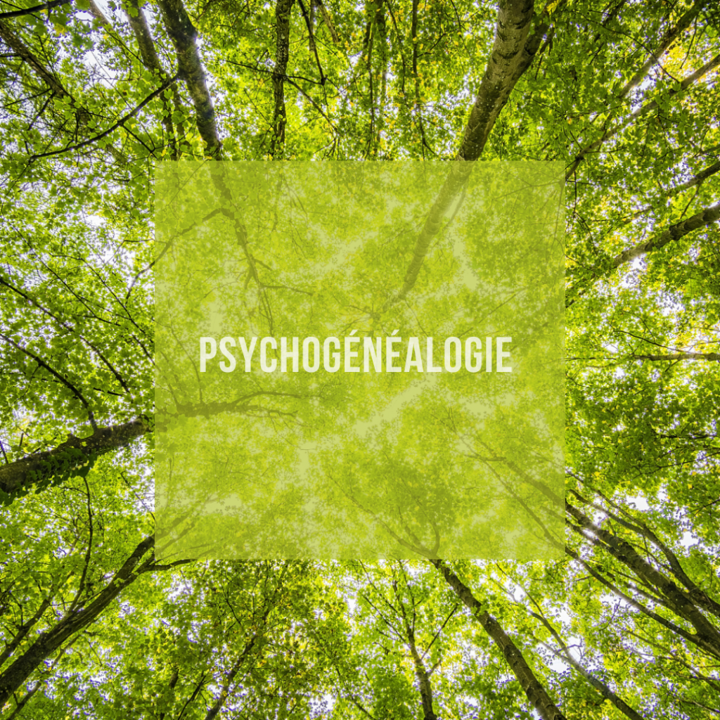 image nature design section psychologie